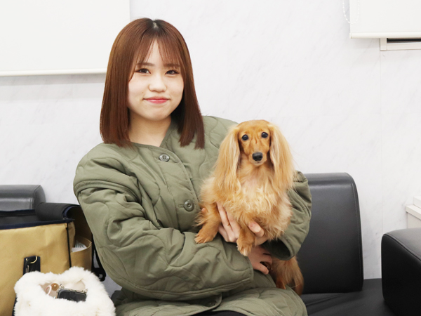 卒業犬しゅんすけくんのサマーカット♪